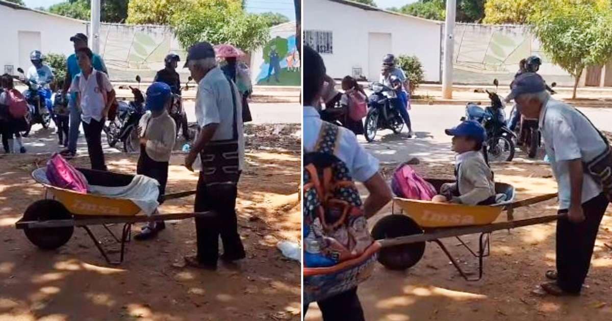 Abuelo lleva a su nieta del colegio en carretilla y conmueve en redes sociales.
